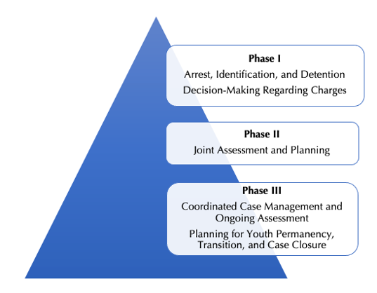 Crossover Youth Practice Model, Center for Juvenile Justice Reform