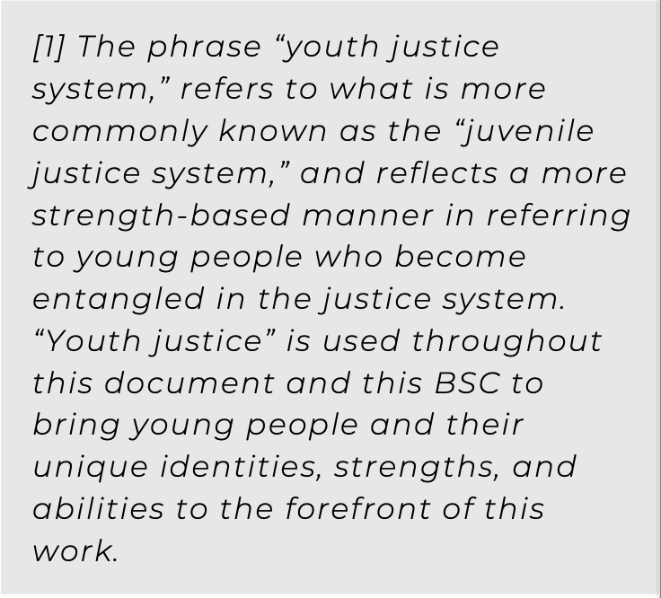 Use of Youth Justice instead of Juvenile Justice as a term