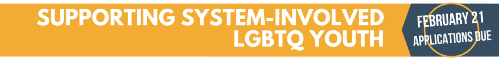 Supporting System-Involved LGBTQ Youth Header