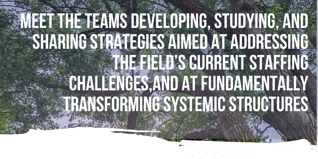 Text over forest: meet the teams of the Innovation Network working to address crisis and transform systems.